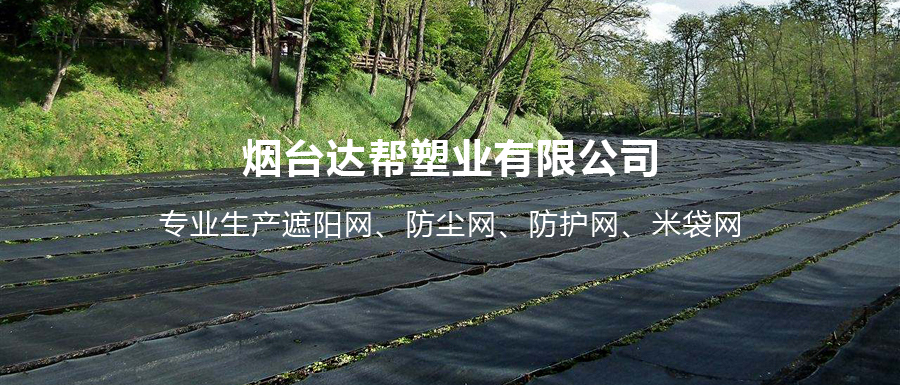 山東遮陽(yáng)網(wǎng)